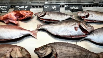 La biomasse de poissons pourrait être réduite d'un quart dans les eaux françaises d'ici à la fin du siècle sous l'effet du réchauffement climatique