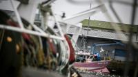 Le président du comité national des pêches appelle à "lever les obstacles" au renouvellement de la flotte de pêche française
