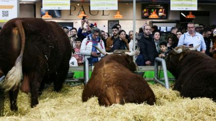 Au Salon de l'Agriculture, Porte de Versailles à Paris, le 22 février 2025