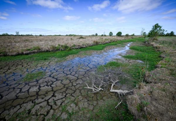 Le lit d'un cours d'eau presque à sec à Machecoul, en Loire-Atlantique, le 3 septembre 2026