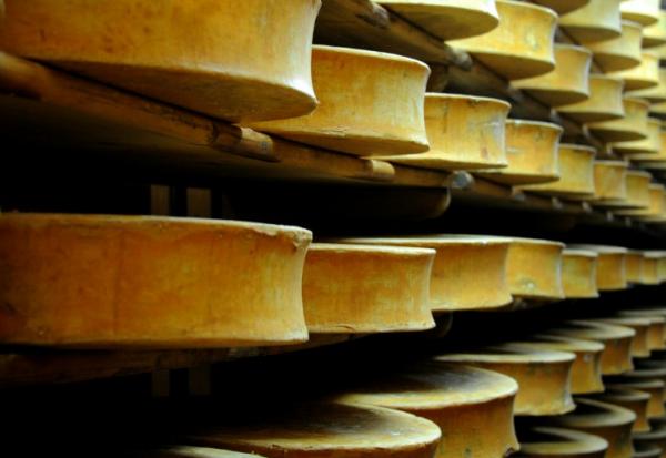 Le gouvernement a autorisé un assouplissement temporaire des règles de production des fromages abondance, beaufort et comté, en raison de la sécheresse