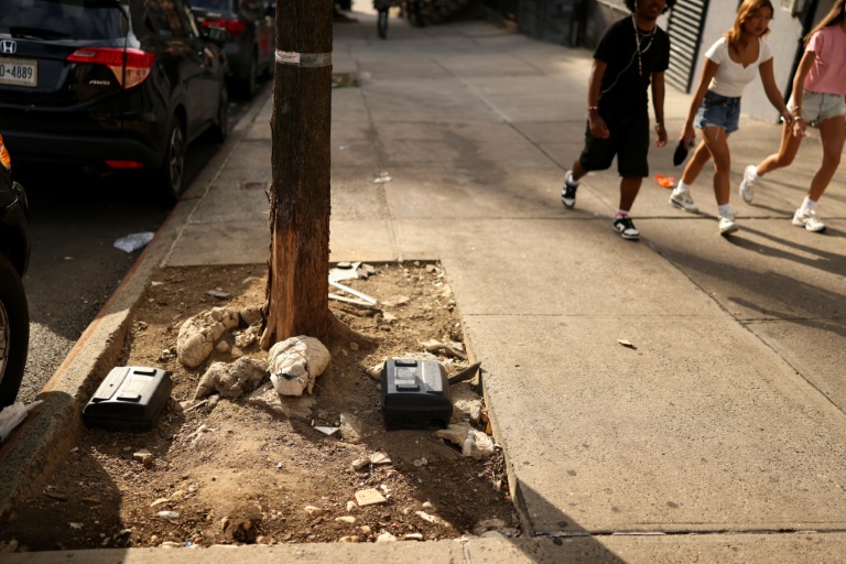 Ces boites noires dans une rue de New York le 1er août 2025 doivent, par une méthode contraceptive, faire baisser la population de rat dans la ville