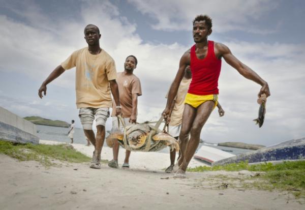 Des pêcheurs qui ont hameçonnée une tortue aident des membres de l'ONG Local Ocean Conservation (LOC) à la transporter vers le centre du LOC où elle sera soignée, le 22 mai 2025 à Watamu, au Kenya