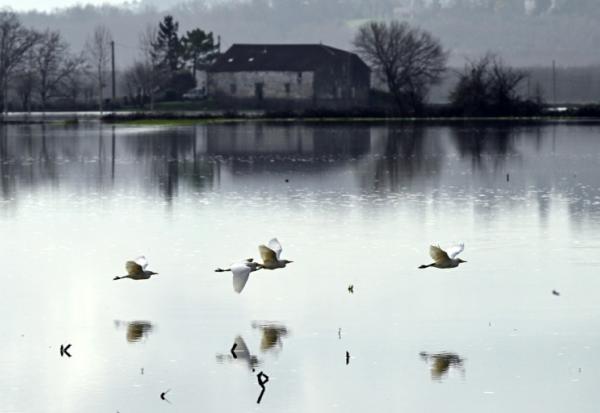 Champ inondé par la crue de la Garonne, près de Bourdelles, en Gironde, le 21 février 2026