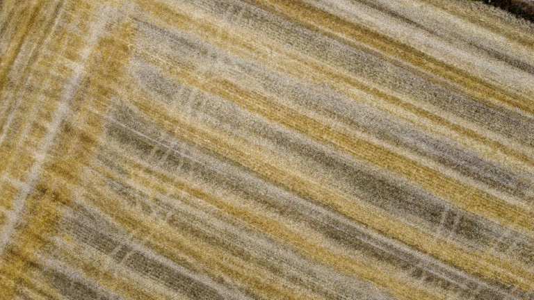 La Commission européenne va aménager sa taxe carbone aux frontières sur les engrais importés, afin d'éviter une hausse des prix dans une période de crise agricole