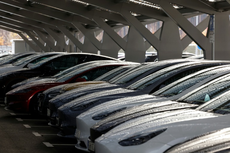 Dans l'usine Tesla au sud de Berlin, 20 novembre  2024.