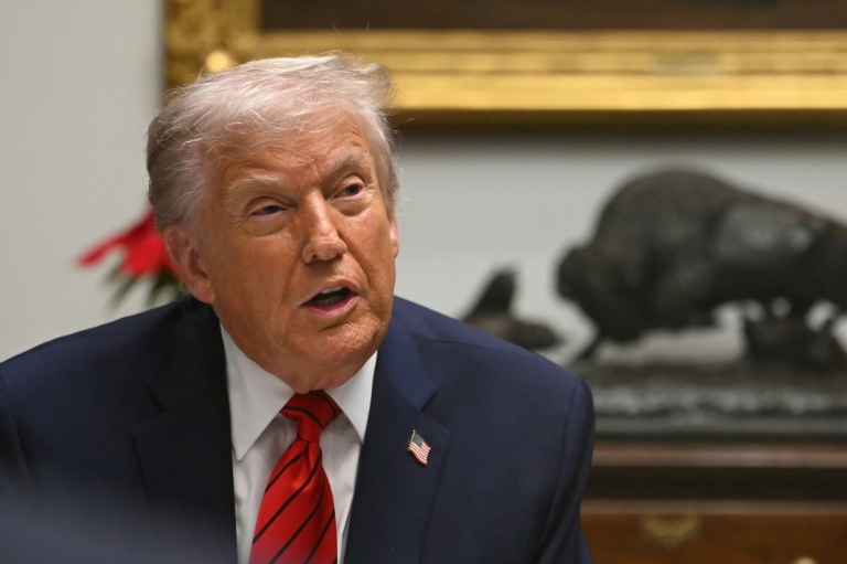 Le président américain Donald Trump lors d'une table ronde à la Maison Blanche, à Washington, le 10 décembre 2025