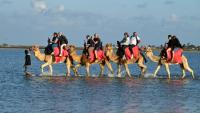 Des touristes français en séjour à Djerba en Tunisie, le 2 mai 2026.

