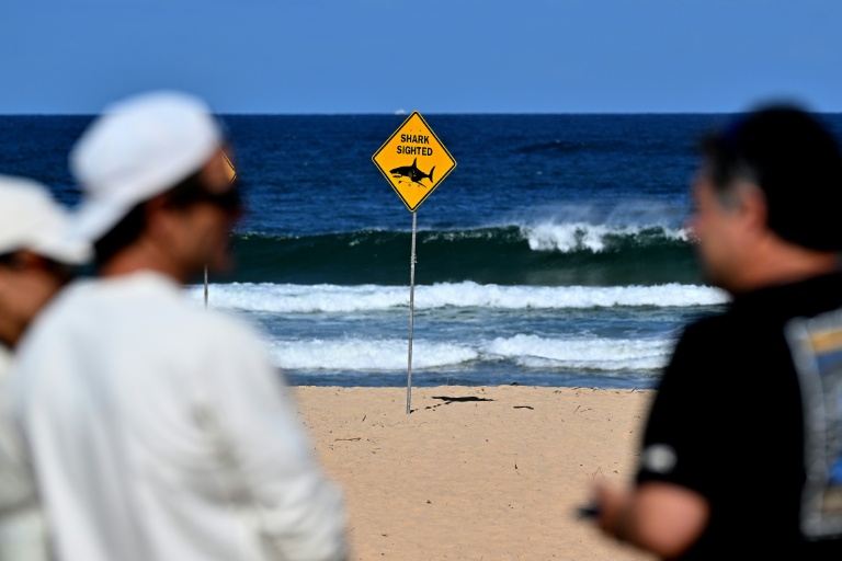 Des habitants sur une plage de Sydney fermée à la suite d’une attaque de requin à Long Reef Beach, le 6 septembre 2025.