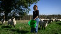 Chloé Pimont, une comédienne parisienne et végétarienne devenue éleveuse de brebis dans le Morvan, s'occupe de ses bêtes le 29 septembre 2025 à Monthelon, en Saône-et-Loire