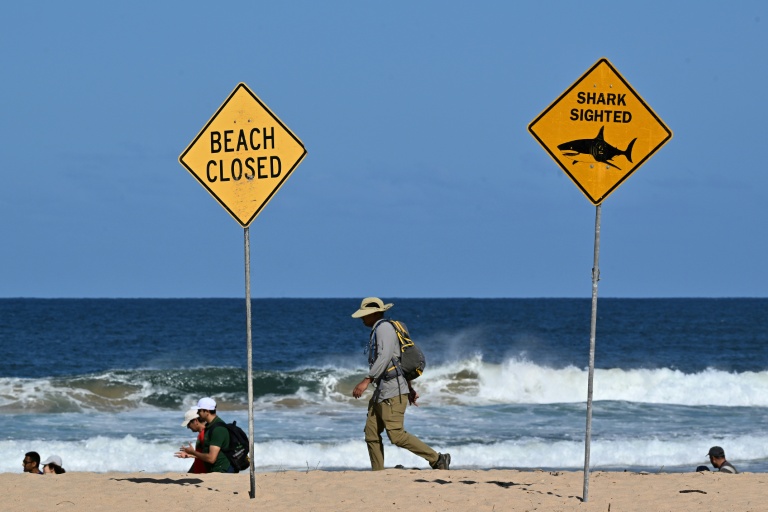 Une des plages du nord de Sydney fermée après une attaque de requin présumée survenue à Long Reef Beach, le 6 septembre 2025 en Australie 2025