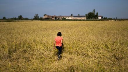 Alice Cerutti marche dans un champ de riz à Crova, en Italie, le 28 septembre 2026