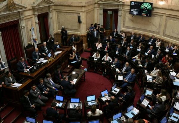 Des parlementaires après le vote d'approbation de l'accord de libre-échange entre l'UE et le Mercosur au Parlement argentin, le 26 février 2026