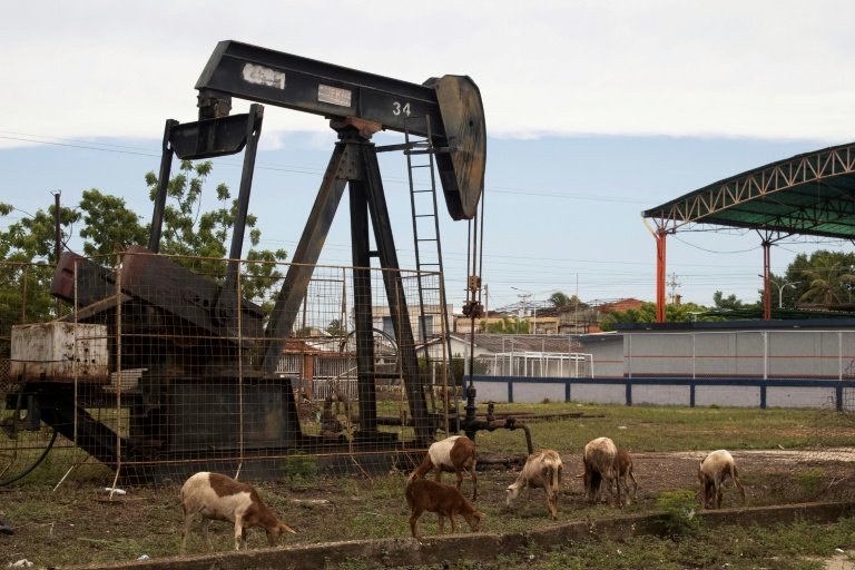 Des agneaux paissent près d’un chevalet de pompage à Campo Progreso, dans la localité de Bachaquero, État de Zulia, au Venezuela
