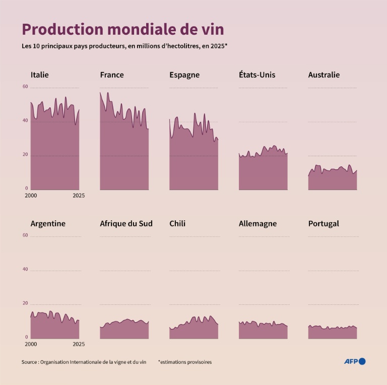 La production mondiale de vin