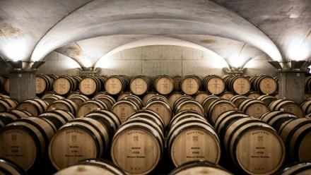 Des fûts entreposés avant la vente aux enchères caritative des vins des Hospices de Beaune, à Beaune, le 20 novembre 2022