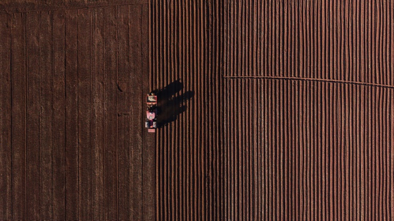 Au début des années 2000, quelque 4.000 des 4.500 grands propriétaires blancs de l'époque avaient été expulsés de leurs terres au profit de fermiers noirs, sur ordre du gouvernement de Robert Mugabe, contraint à la démission en 2017