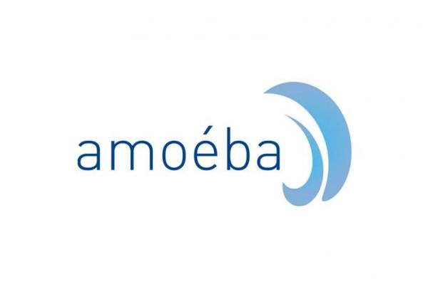 Amoeba : Horizon de trésorerie jusqu'à fin 2026