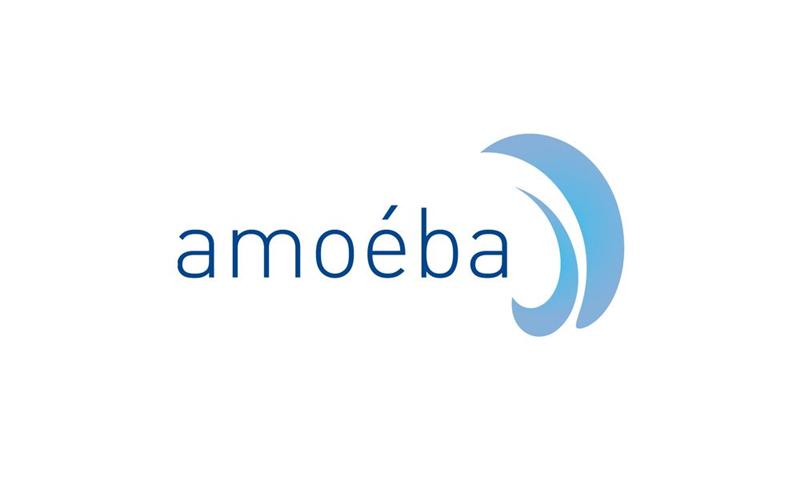 Amoeba obtient une nouvelle autorisation d'urgence pour l'utilisation de la solution de biocontrôle AXPERA afin de protéger les vignobles français