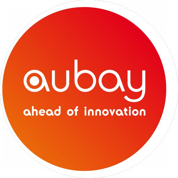Aubay : publication saluée