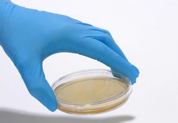 bioMérieux investit en France dans une nouvelle usine de production de diagnostics innovants à destination du marché européen