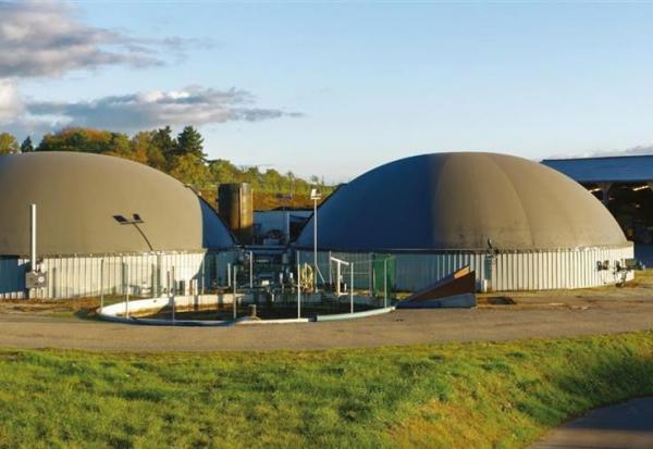 Charwood Energy : des pertes réduites en 2025