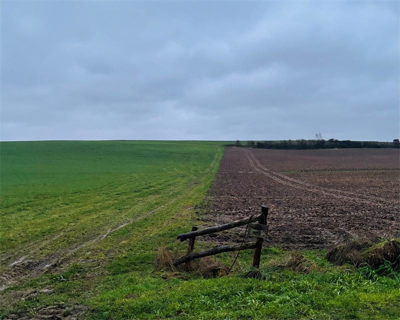 CRCAM Atlantique Vendée : un ratio de solvabilité bien au-delà du minimum réglementaire