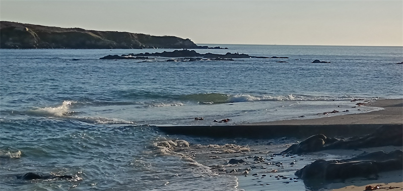 Dolfines : la situation de trésorerie est positive à fin 2025