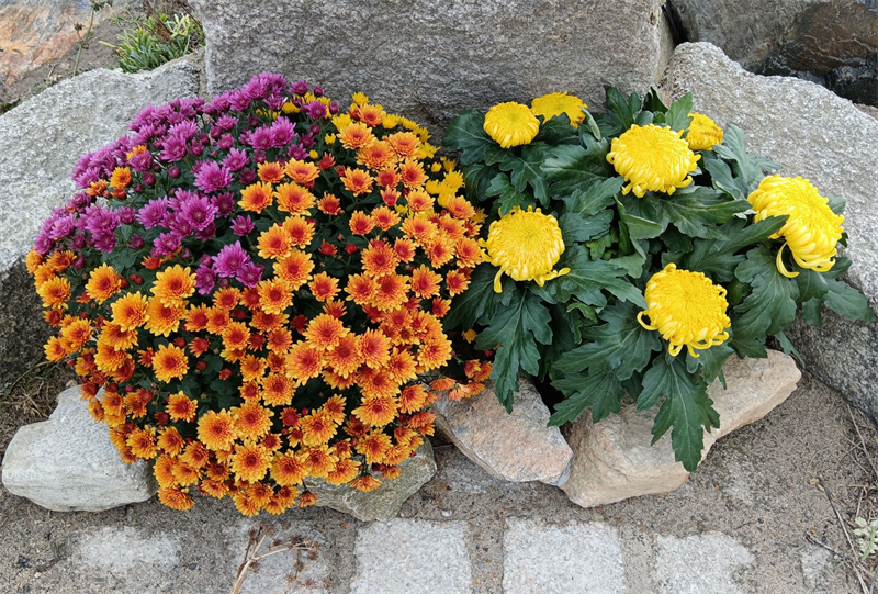 Emova Group confirme ses objectifs financiers