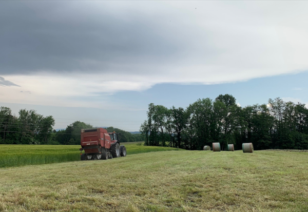 Goodvest enrichit son offre immobilière durable avec deux nouvelles SCI : Terres Invest et Territoires Avenir