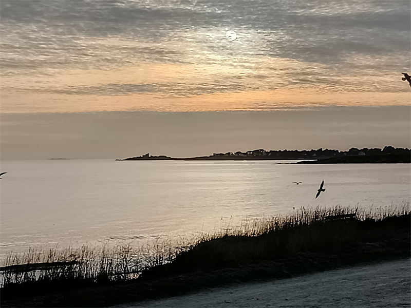 Guillemot vise 5% de croissance du chiffre d'affaires en 2026