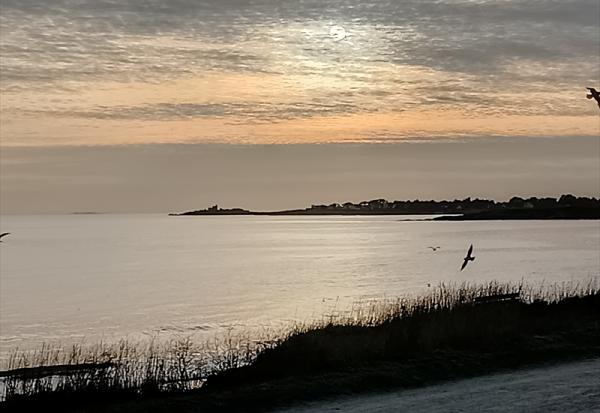 Guillemot vise 5% de croissance du chiffre d'affaires en 2026