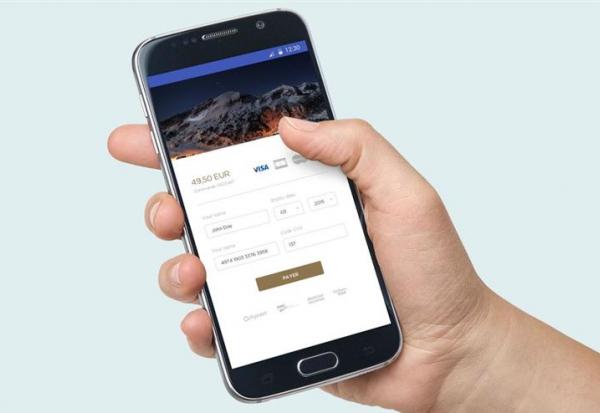 HiPay : légère hausse de l'activité annuelle