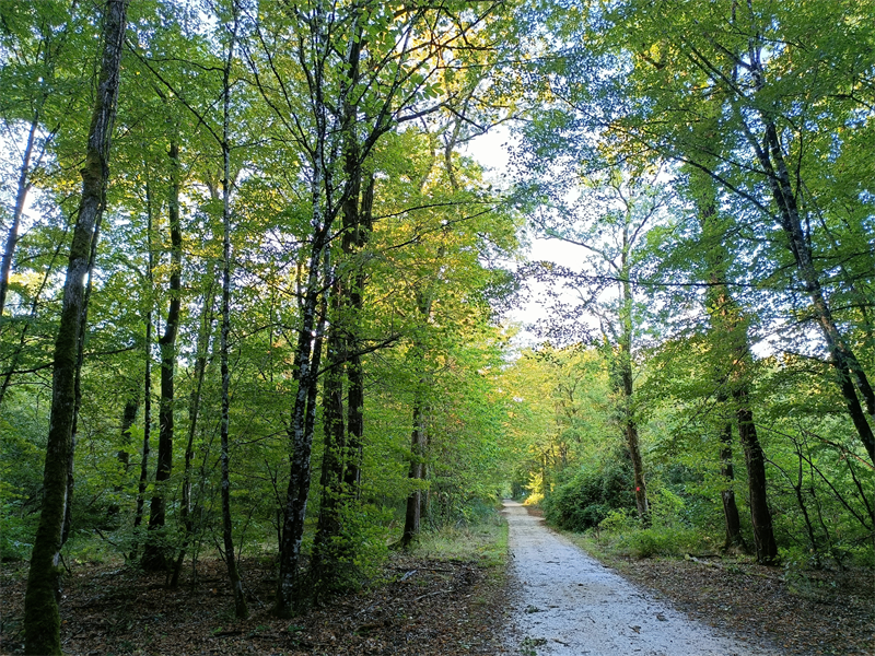 La Fondation Crédit Mutuel Alliance Fédérale donne 2 ME à 60 associations environnementales partout en France