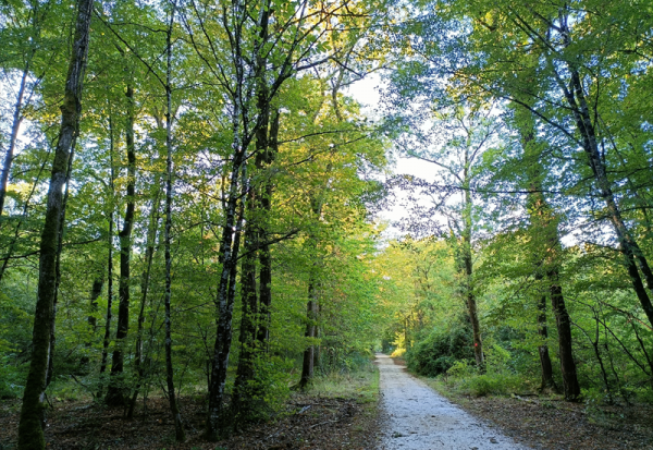 La Fondation Crédit Mutuel Alliance Fédérale donne 2 ME à 60 associations environnementales partout en France