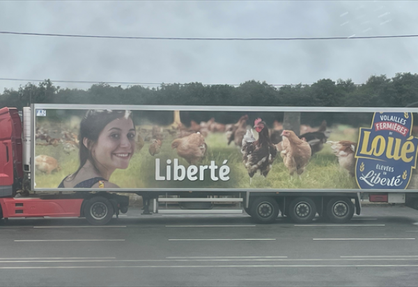 LDC : augmentation de capital réservée aux cadres salariés