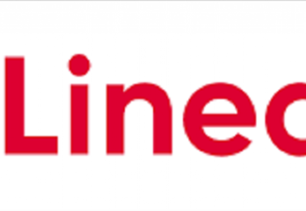 Linedate : recule après les comptes