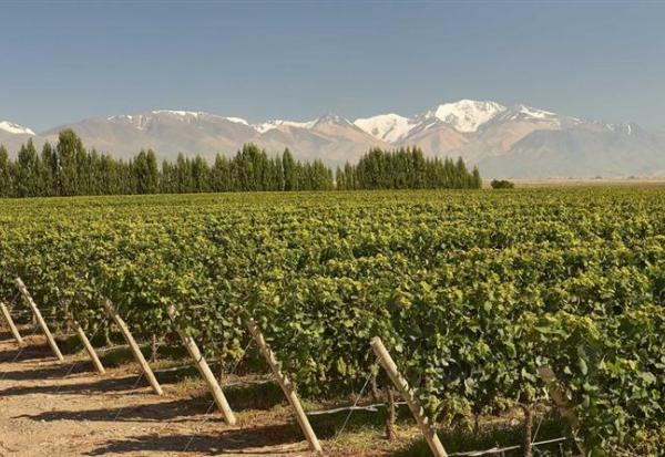 LVMH : Moët Hennessy annonce la troisième édition du World Living Soils Forum (WLSF)