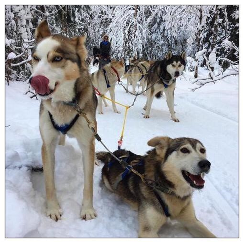 Neoen remporte deux contrats solaires au Canada