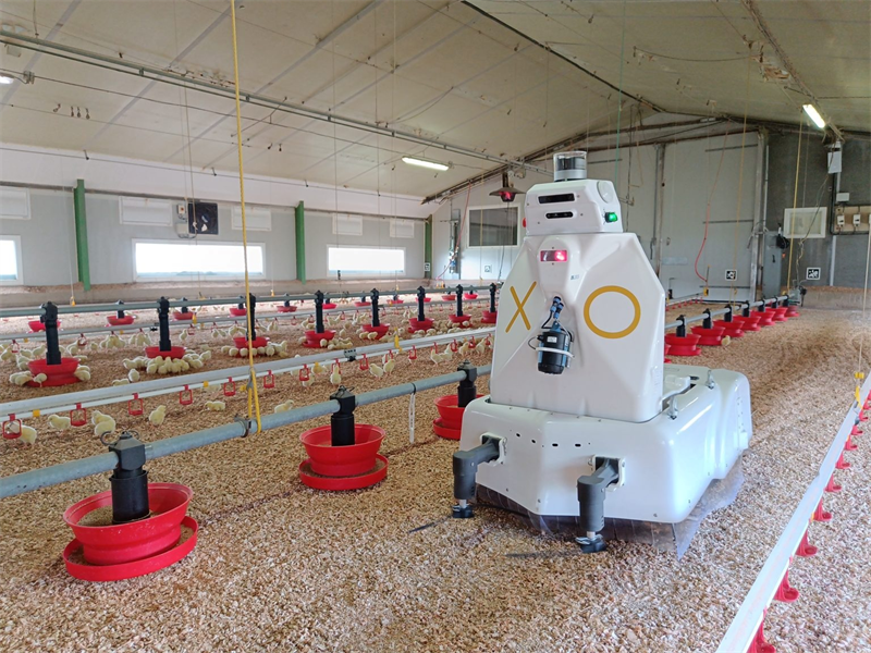 Octopus Biosafety sur de nouvelles bases