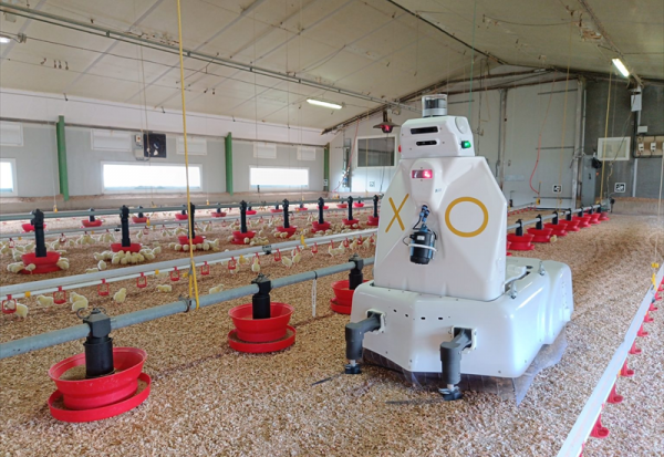 Octopus et TAW intègrent la technologie 5G industrielle dans ses robots en partenariat avec EXCELCAR