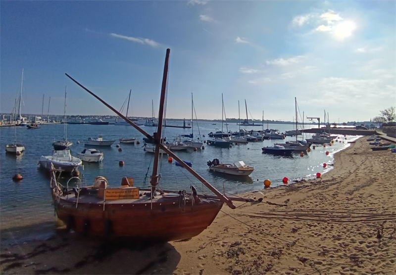 Reworld Media : recule après les annonces