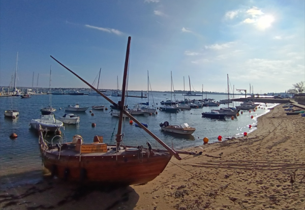 Reworld Media : recule après les annonces