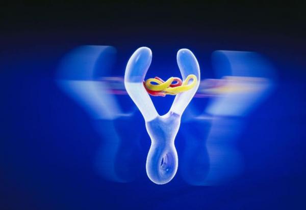 Sanofi : le bon remède ?