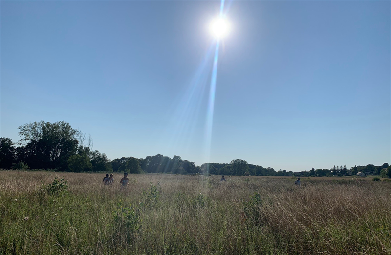 TotalEnergies : inaugure son plus grand champ solaire en Europe