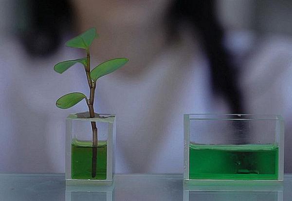 Valbiotis étend son service de livraison e-commerce à la Belgique et au Luxembourg