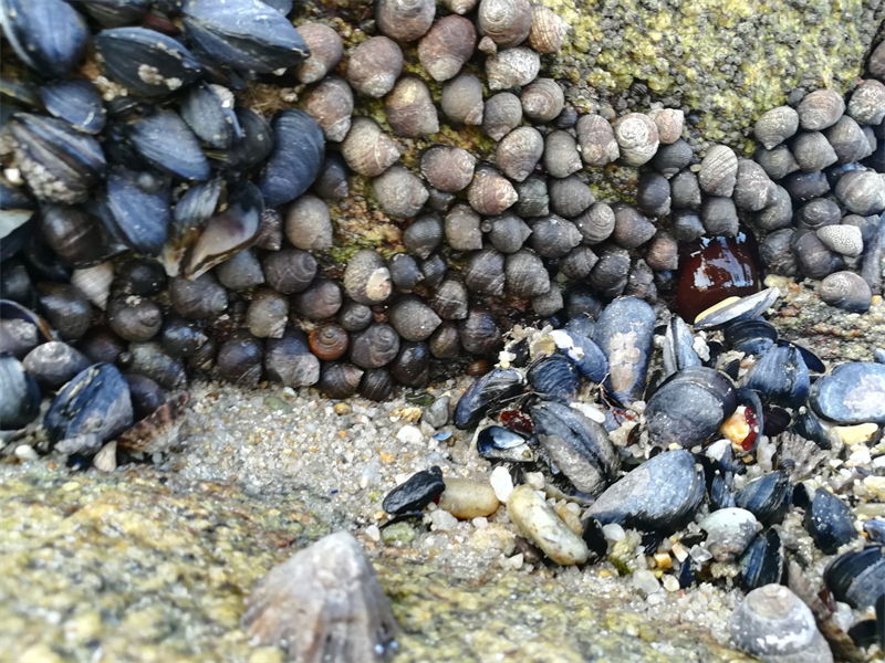 Valerio Therapeutics : Eric Vivier devrait intégrer le Conseil d'administration