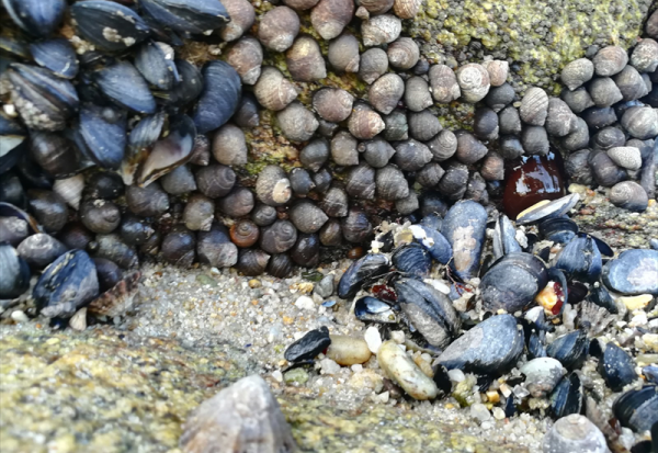 Valerio Therapeutics : Eric Vivier devrait intégrer le Conseil d'administration