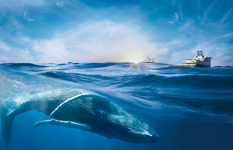 Viridien : flambe après les commentaires de la direction