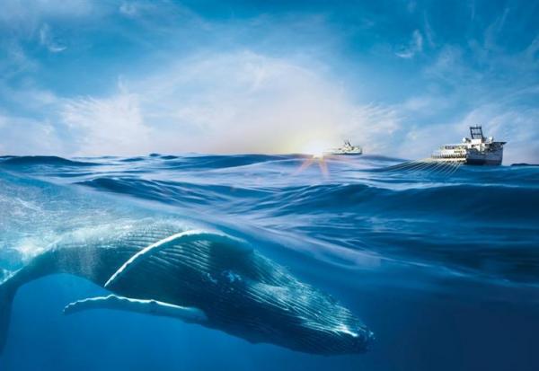 Viridien : un chiffre d'affaires attendu supérieur à 1.150 M$